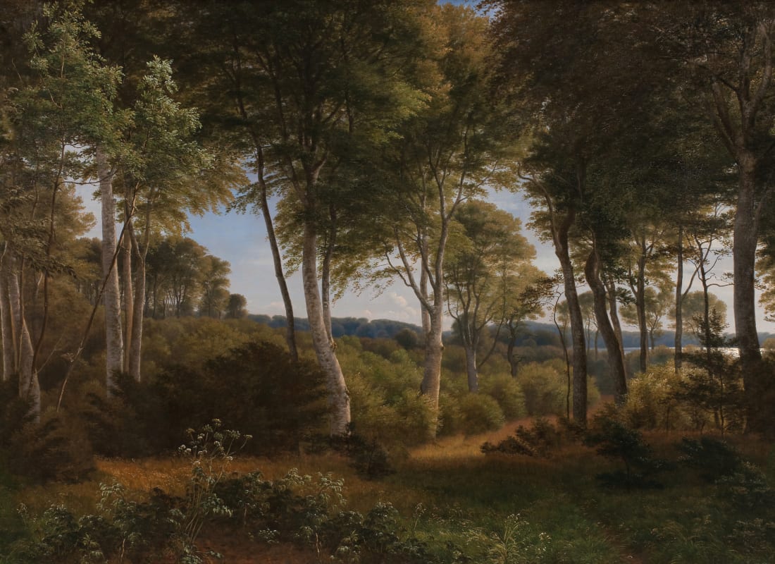 Delhoved Forest Dark