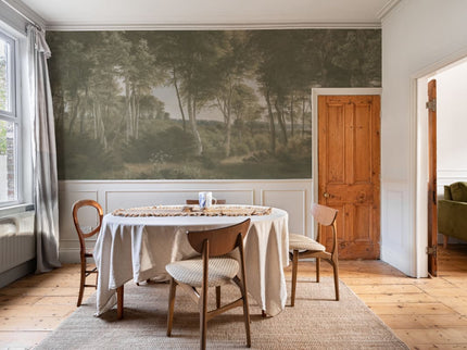 Delhoved Forest Light