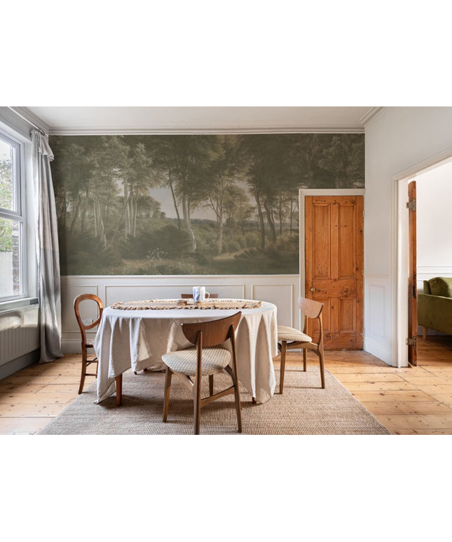 Delhoved Forest Light