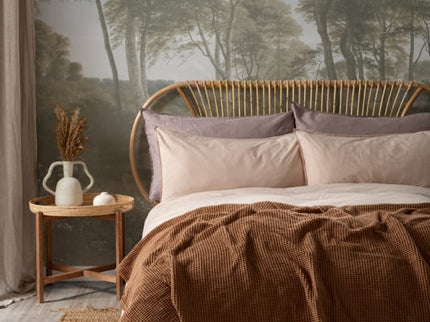 Delhoved Forest Light