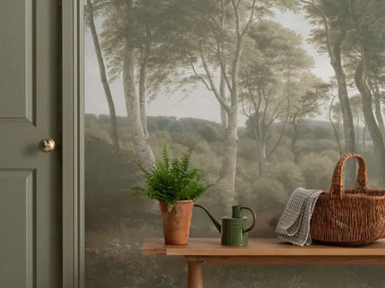 Delhoved Forest Light