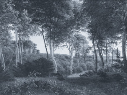 Delhoved Forest Blue