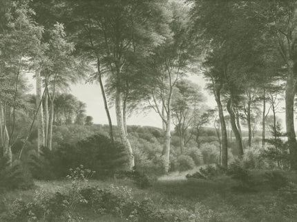 Delhoved Forest Green