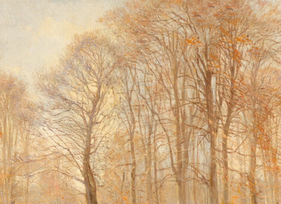 Coppice Orange
