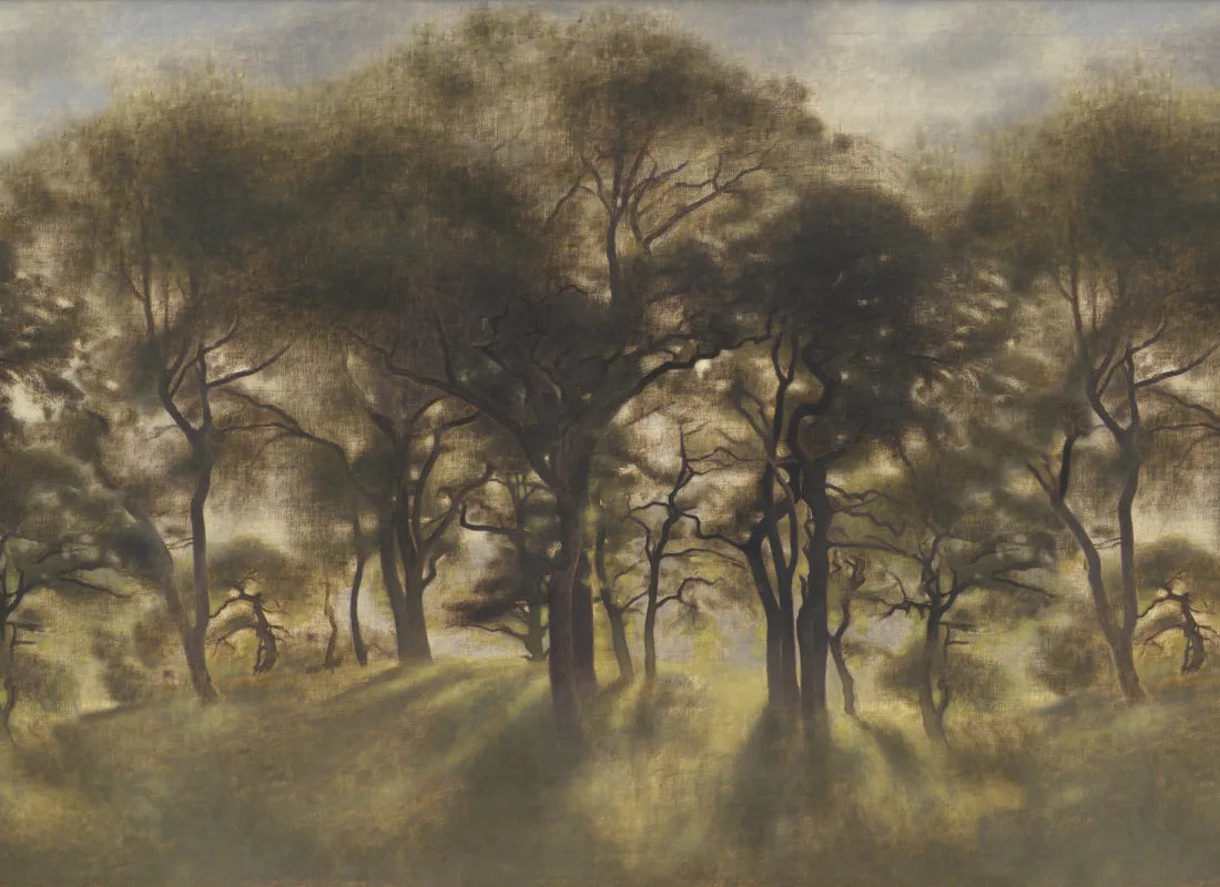 Smokey Forest Classic