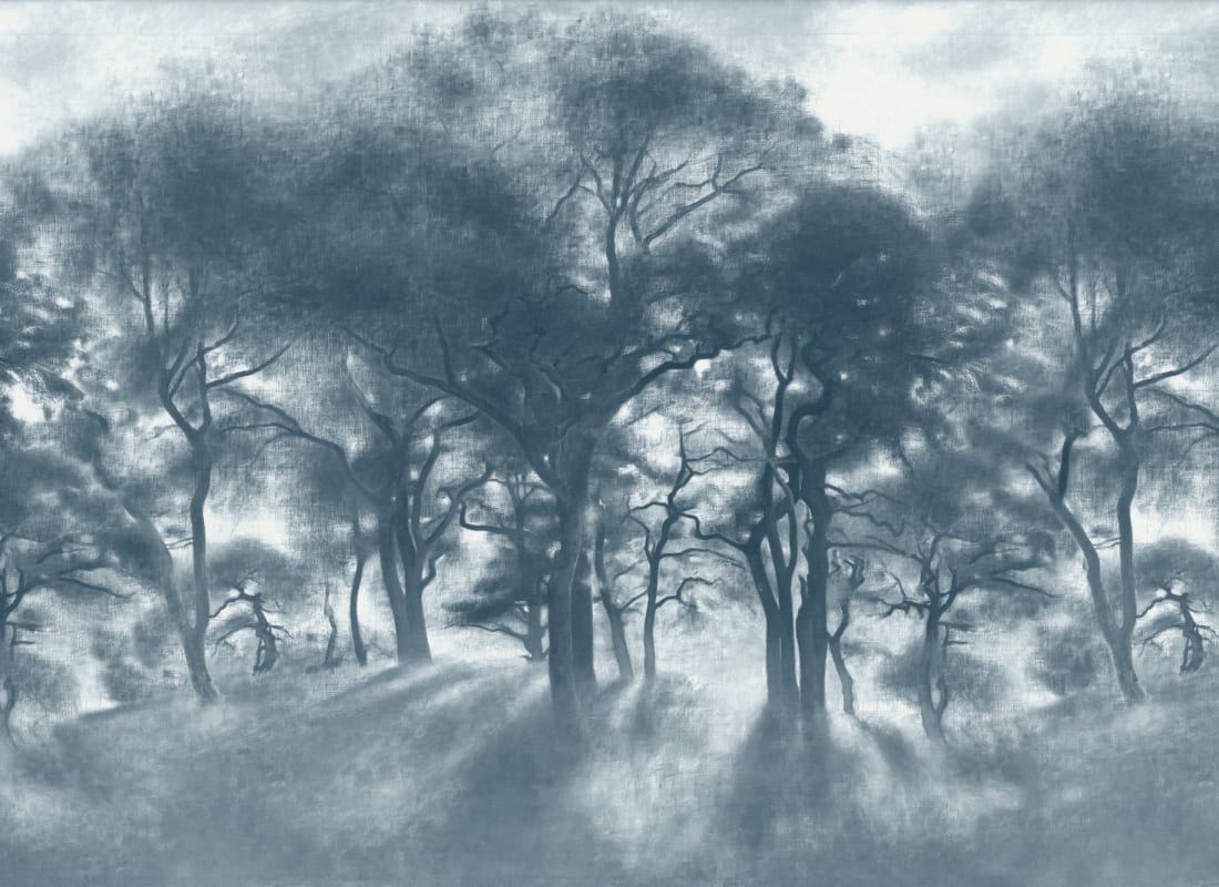 Smokey Forest Blue