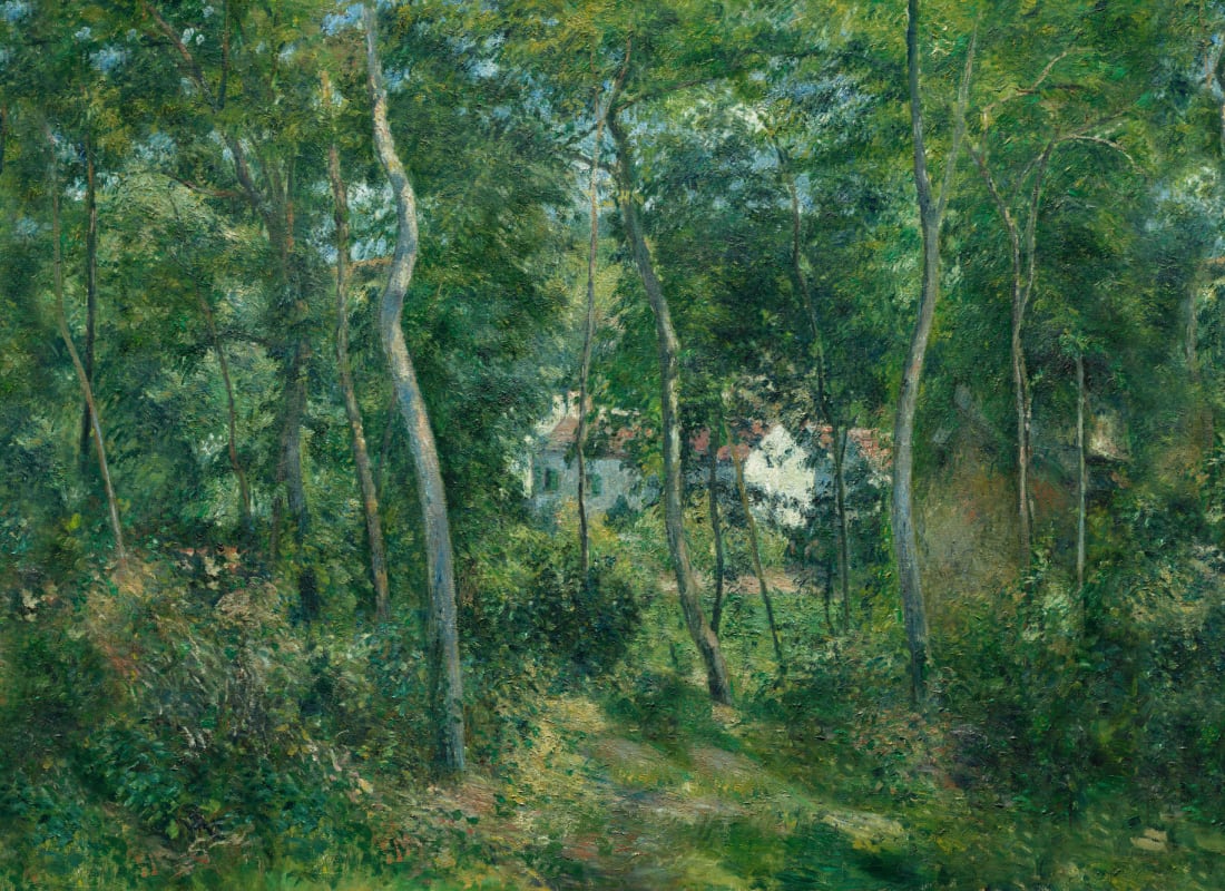 Wild Wood Green