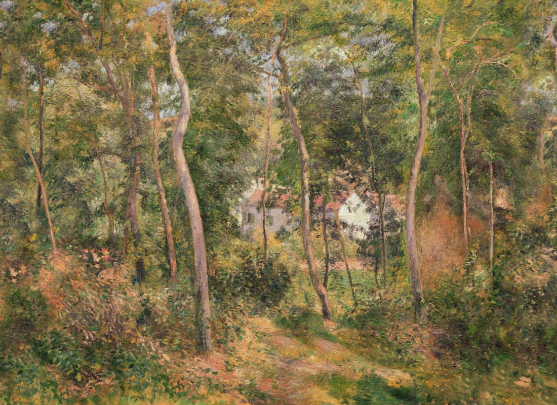 Wild Wood Classic