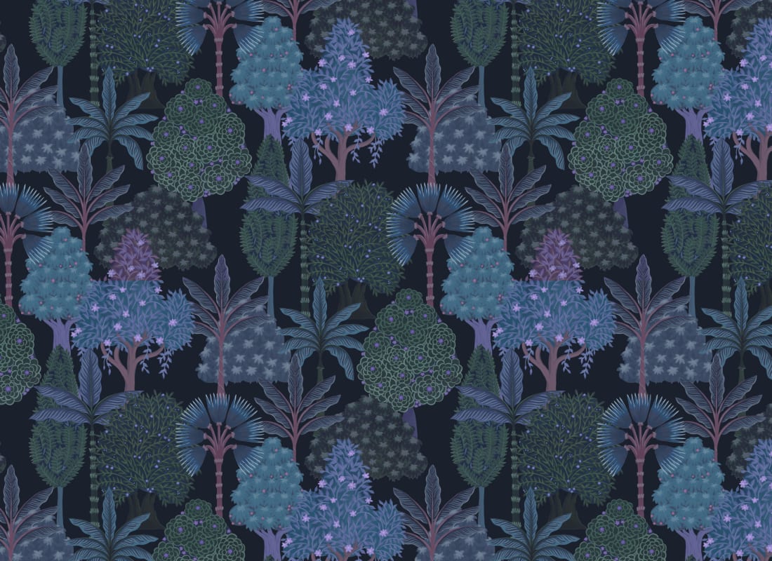 Satpura Dark