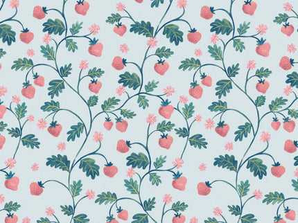 Little Stawberry Blue