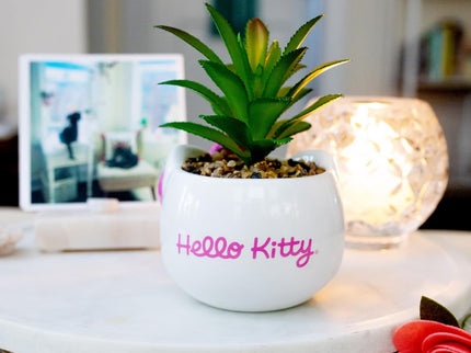 Hello Kitty Face 3-In Ceramic Mini Planter with Artificial Succulent