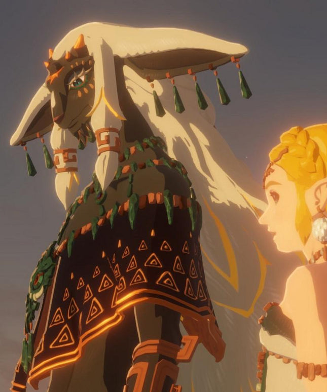 Hyrule Warriors: Age of Imprisonment - Nintendo Switch 2