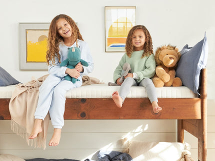 AVMEKDSKFRG-40, Full / Single