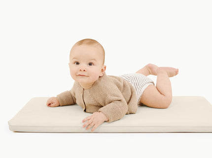 GPADMICPLUIVR, Ivory