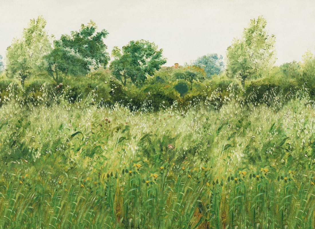 Barley Fields Green