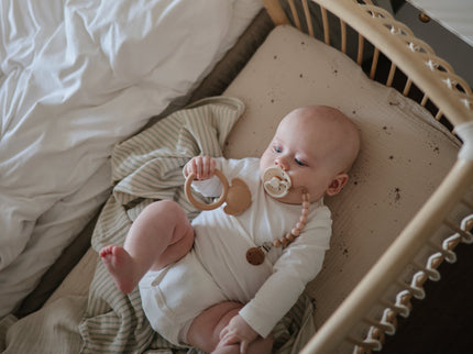 Mushie Silicone Pacifier Clip | Eva