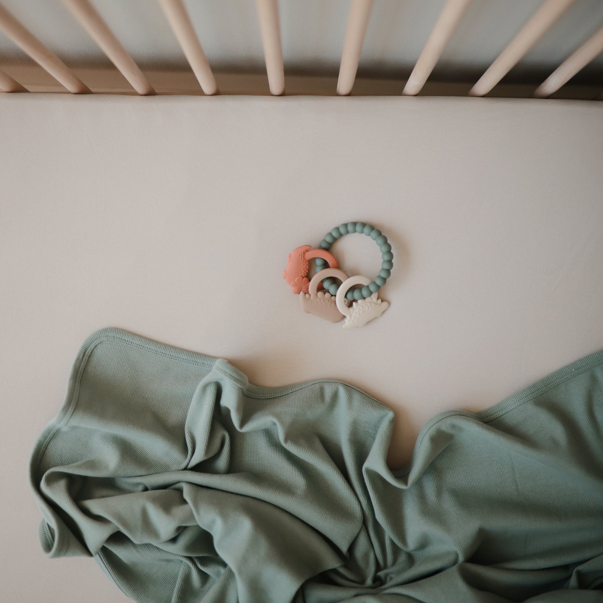 MTR-102, Dino Teething Ring