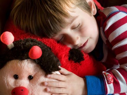 Ms. Ladybug Plush Pillow Pet