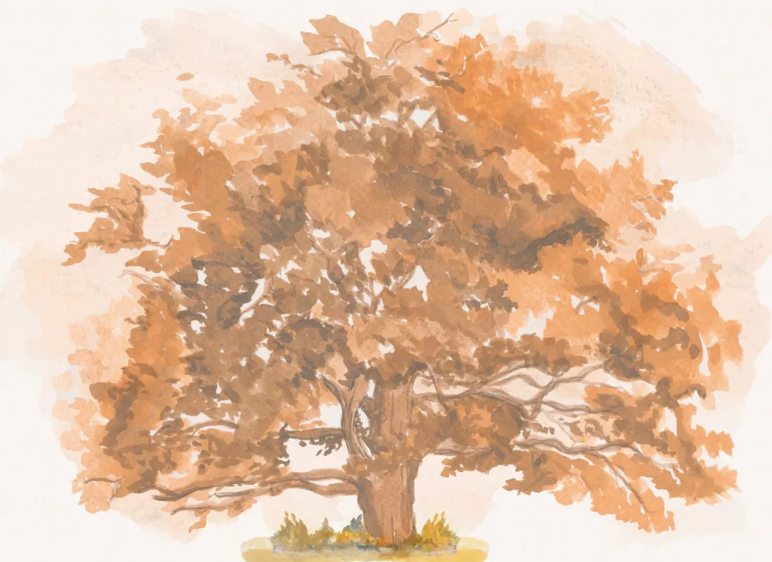 Autumn Leaves