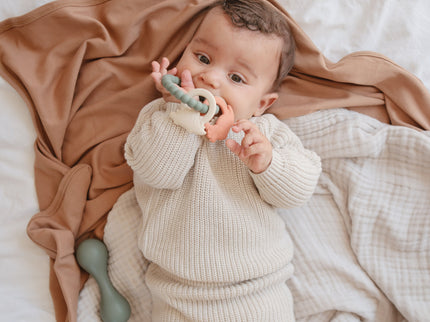 MTR-102, Dino Teething Ring