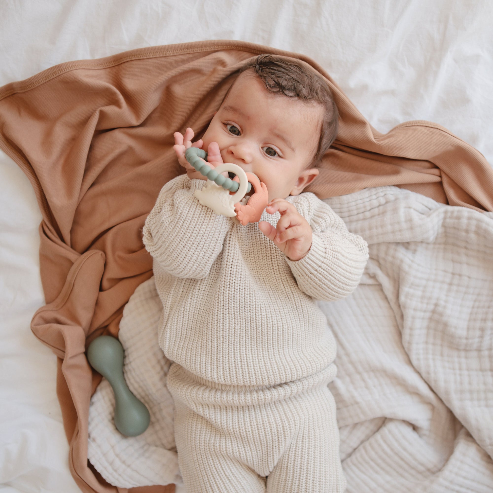 MTR-102, Dino Teething Ring