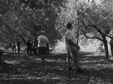 Italian Infused Extra Virgin Olive Oil