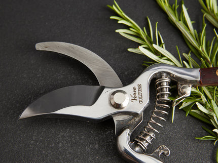 Thai Kitchen and Garden Shears