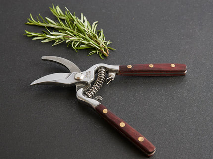 Thai Kitchen and Garden Shears