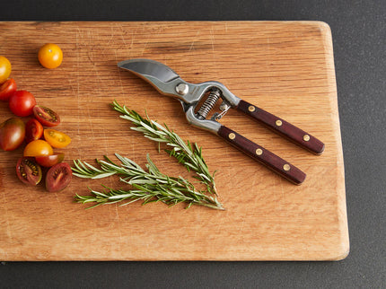 Thai Kitchen and Garden Shears