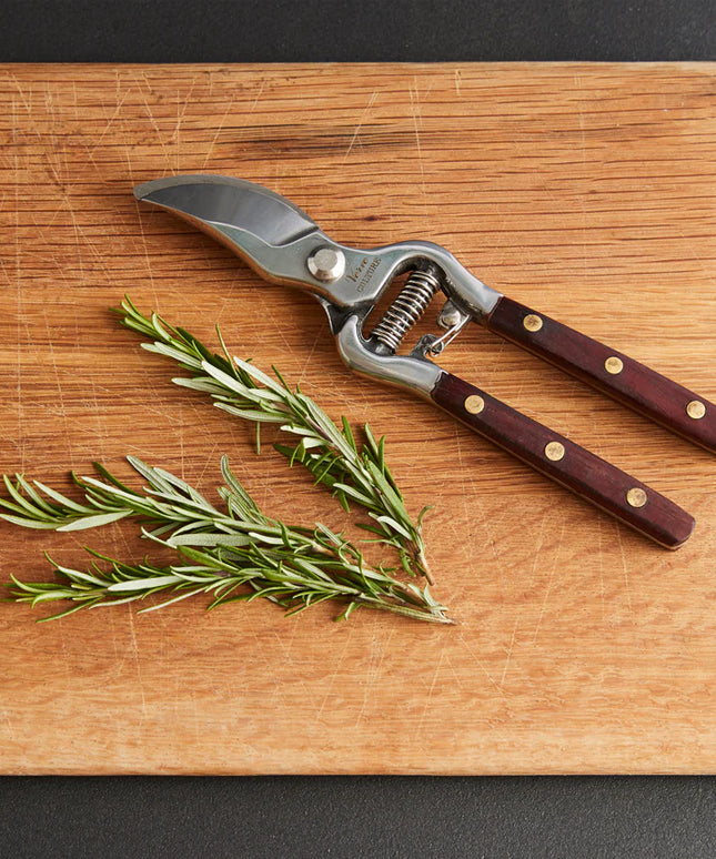 Thai Kitchen and Garden Shears