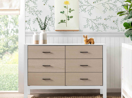 F23226WCWD,Carter's,Radley 6-Drawer Dresser in White & Coastwood