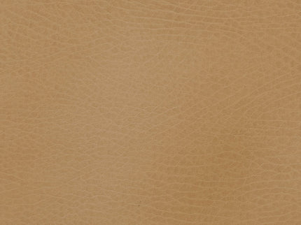 GPADMICPLUCAM, Camel