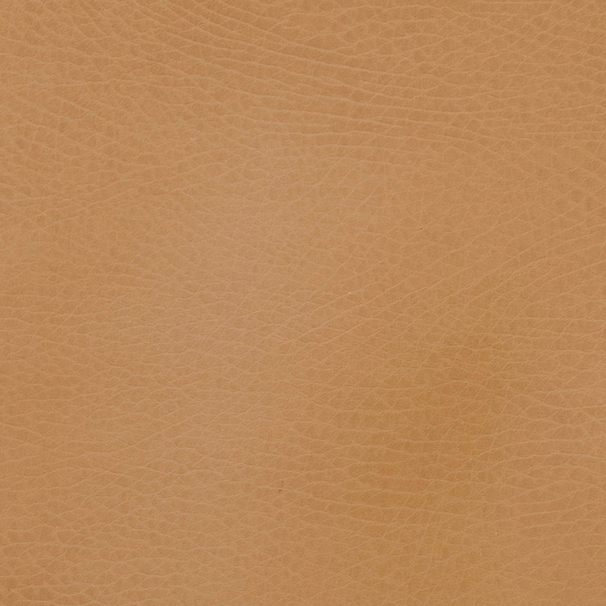 GCADMEDCAM, Camel