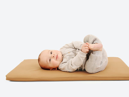 GPADMICPLUCAM, Camel