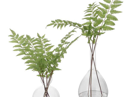 Country Green Ferns 21"H Faux Plants in Glass Vases Set of 2