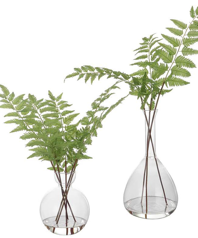 Country Green Ferns 21"H Faux Plants in Glass Vases Set of 2