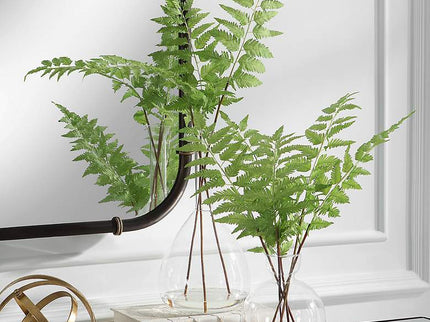 Country Green Ferns 21"H Faux Plants in Glass Vases Set of 2
