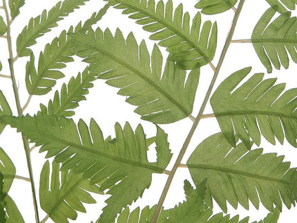 Country Green Ferns 21"H Faux Plants in Glass Vases Set of 2