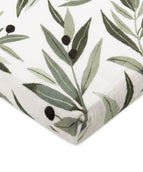Olive Branches
