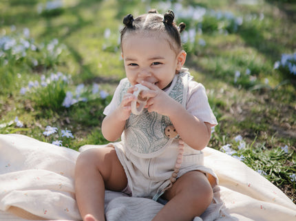 MPC-9003, Silicone Pacifier Clip | Eva