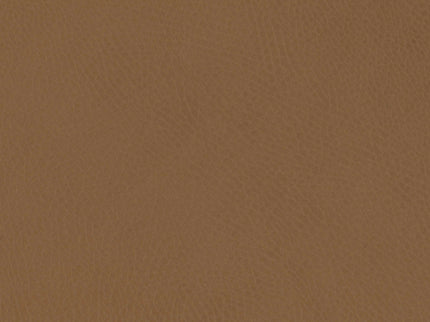 M26834GCLB,Babyletto,babyletto x GATHRE Capsule Bassinet in Camel