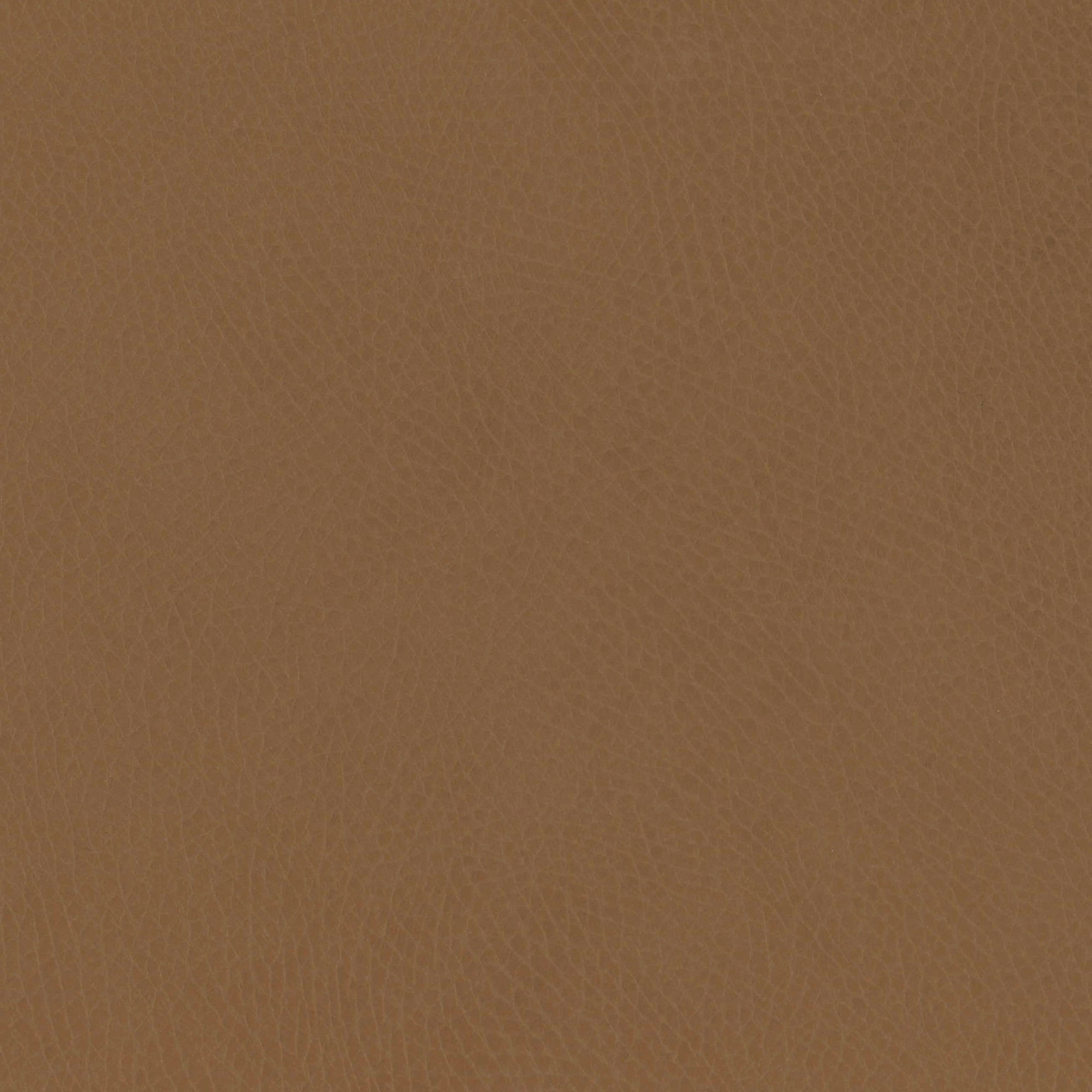 M26834GCLB,Babyletto,babyletto x GATHRE Capsule Bassinet in Camel