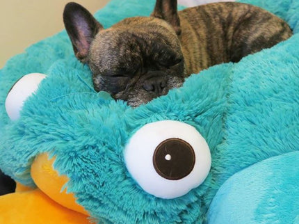 Disney Phineas & Ferb Perry Plush Pillow Pet