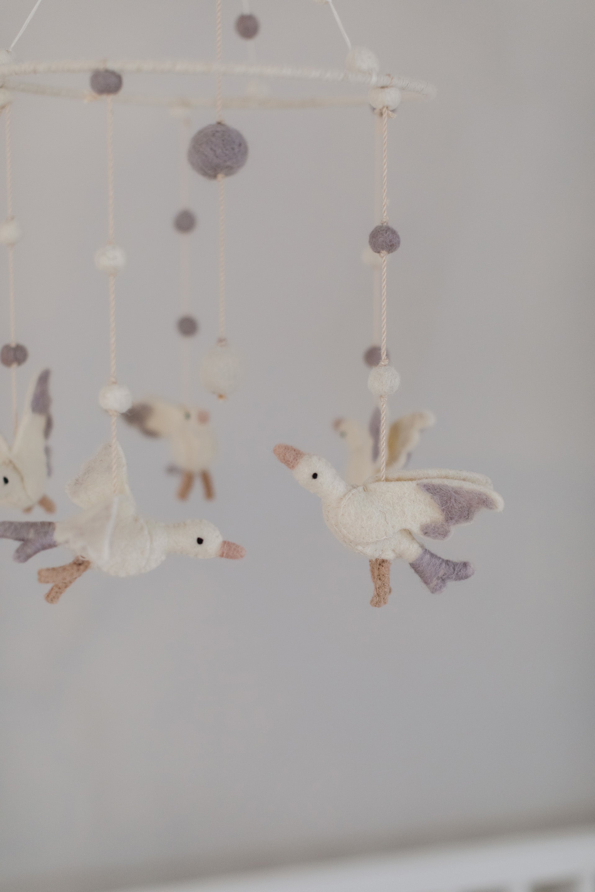 image of swan mobile