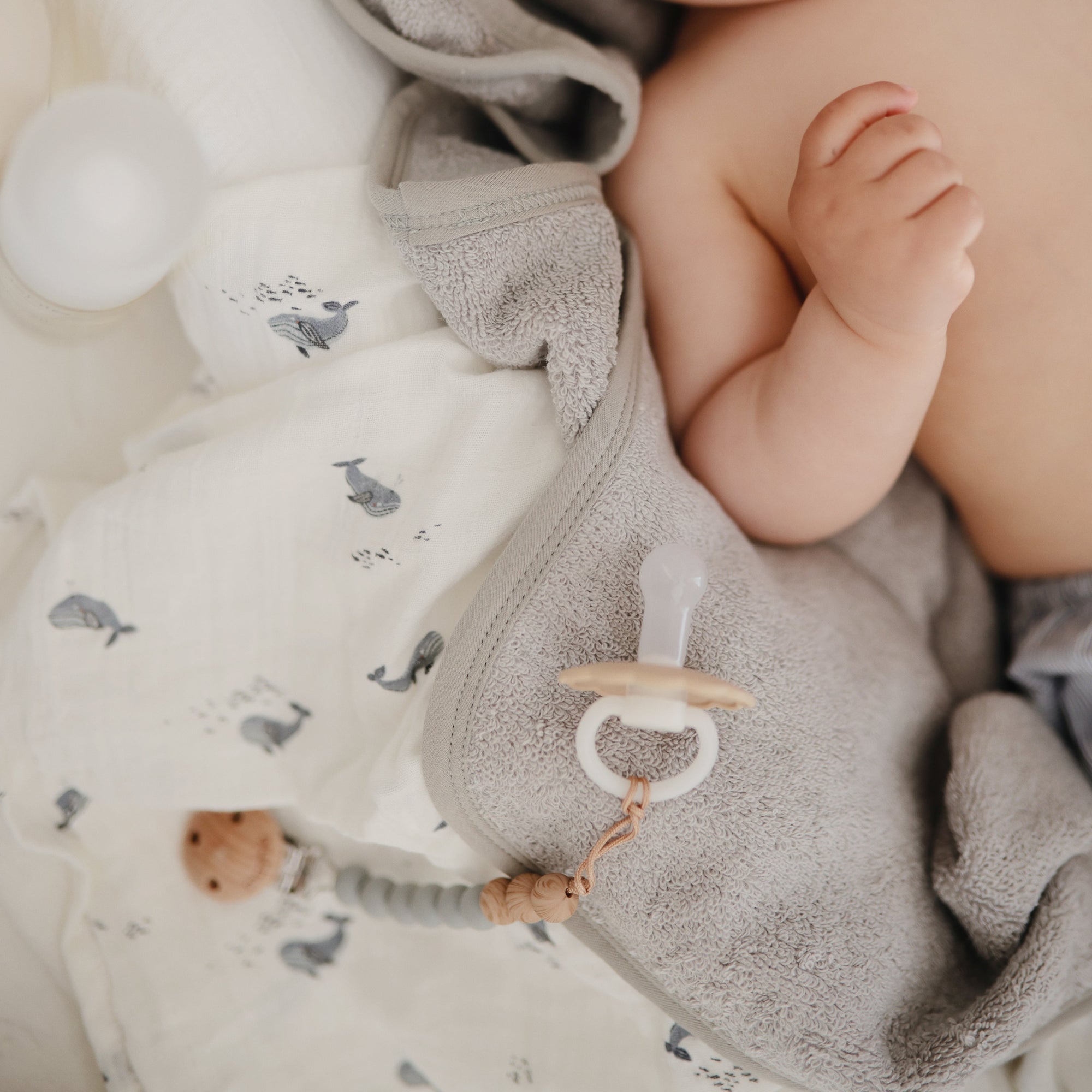 MPC-9016, Silicone Pacifier Clip | Eva