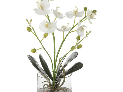 Uttermost Glory White Orchid 13"H Faux Flowers in Container