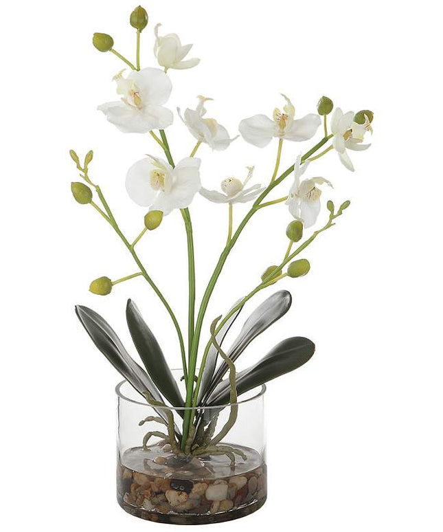Uttermost Glory White Orchid 13"H Faux Flowers in Container