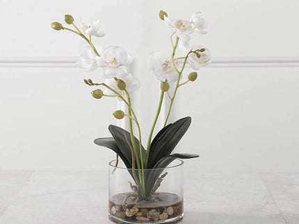Uttermost Glory White Orchid 13"H Faux Flowers in Container