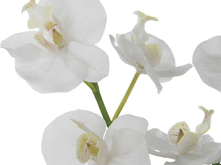 Uttermost Glory White Orchid 13"H Faux Flowers in Container