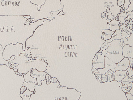 image of world map swatch